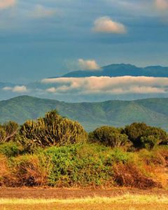 Uganda Safari Reise im Queen Elizabeth Nationalpark