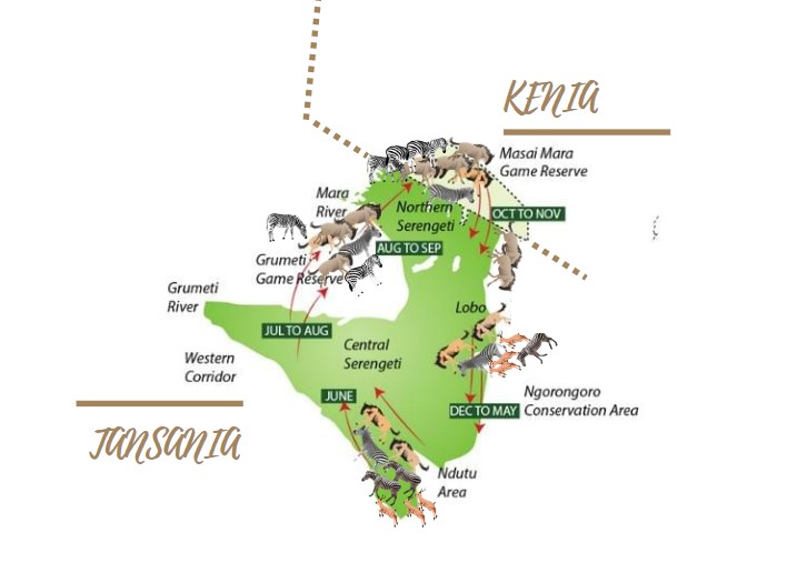 Die große Tierwanderung in der Serengeti & Masai Mara: Reiseroute